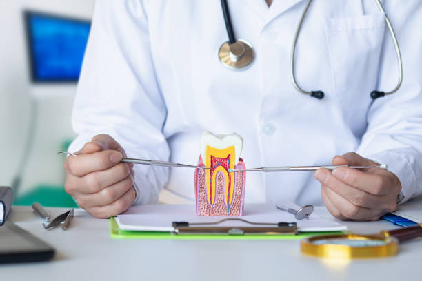 Best Emergency Root Canal Treatment in Carbonville, UT